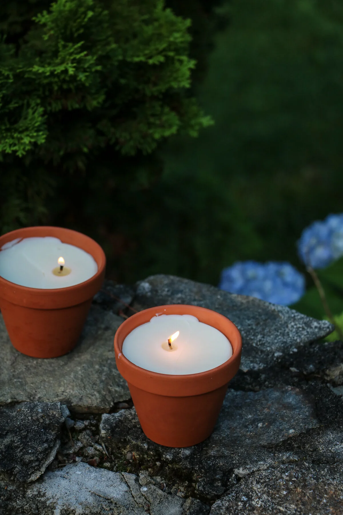 DIY Citronella Candle in a Planter root dwell